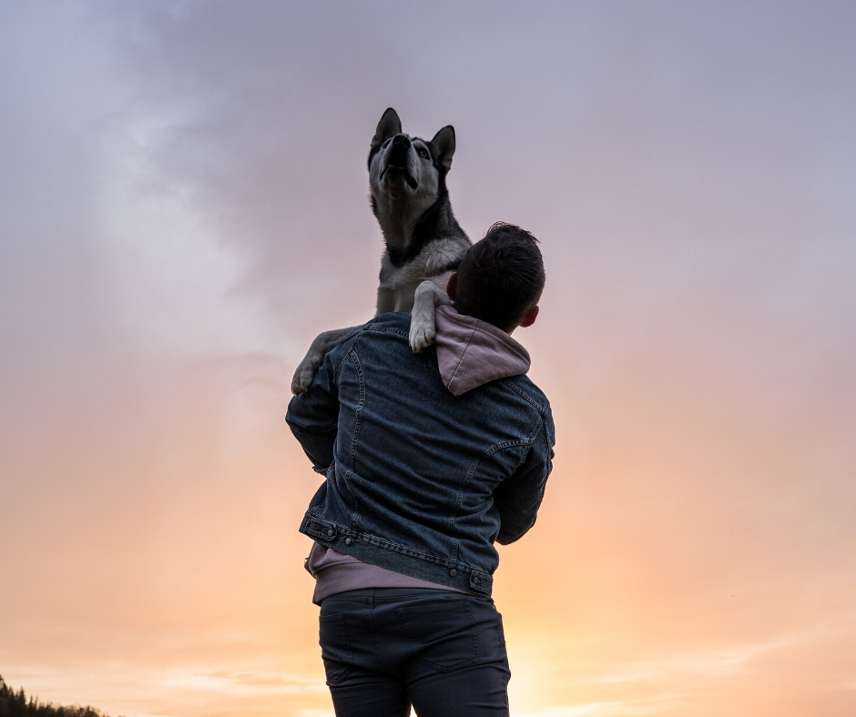 Man Holdng Dog Man Holdng Dog