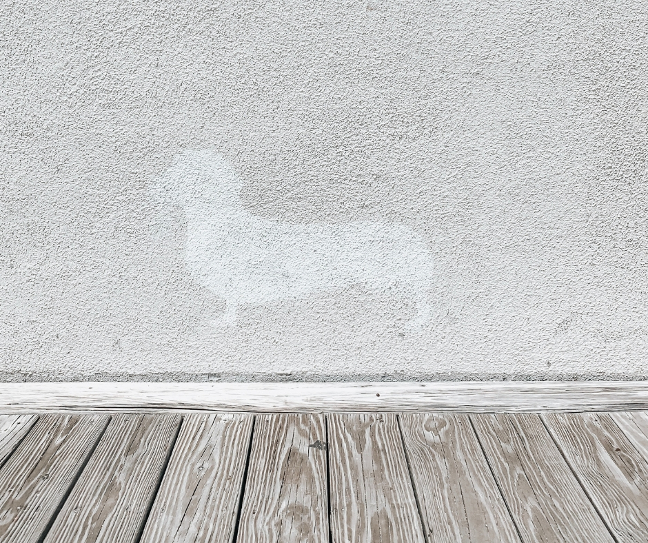 Wall With Light Color Silhouette of Dog Wall With Light Color Silhouette of Dog