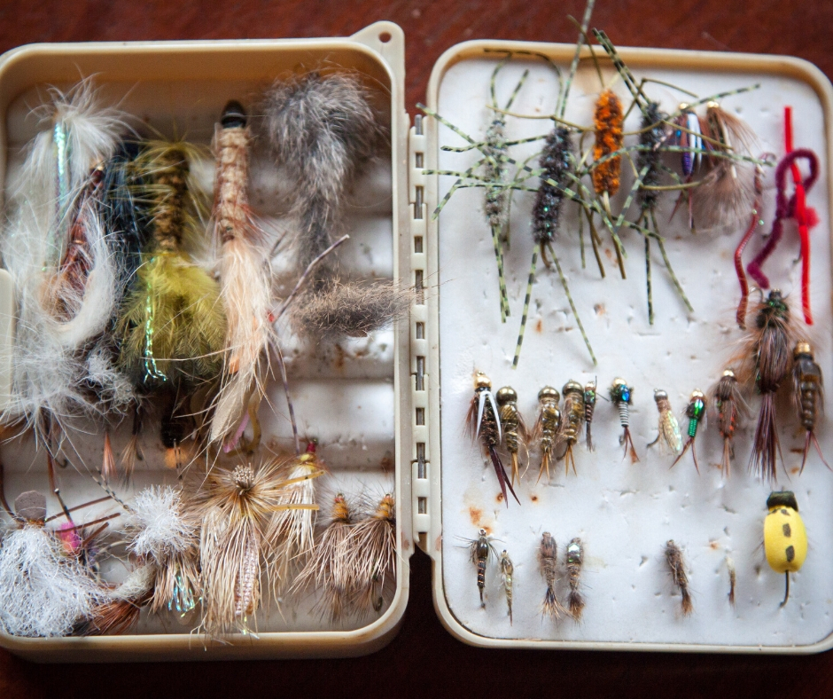 Bait & Tackle Box Bait & Tackle Box